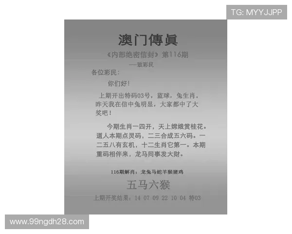 全面解析澳门新彩开奖号码查询及投注技巧