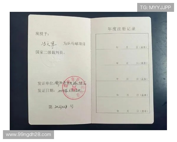 乒乓球比赛中裁判人数的重要性与影响分析